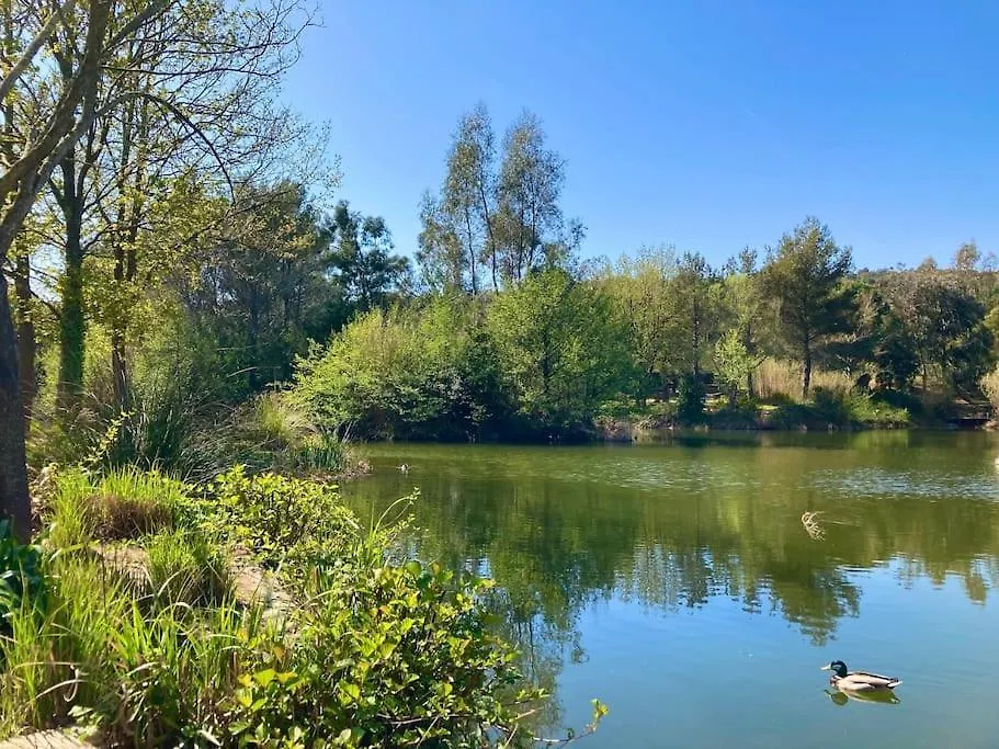 Apartment Les Restanques Cabriere 3123 Vue Mer 3 Chambres Grimaud France
